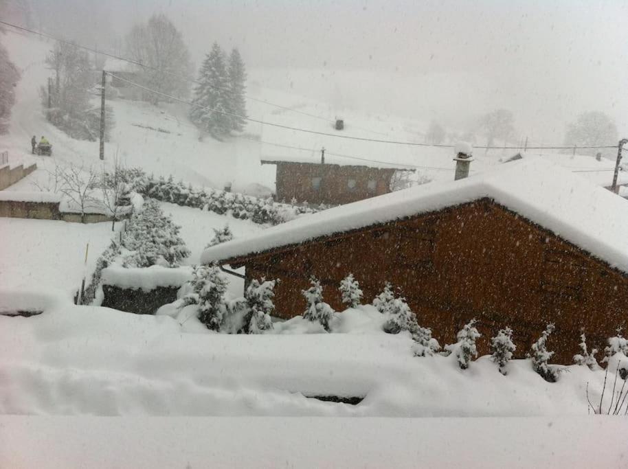Dans Hameau, Pres Des Pistes Logement De Plein Pied Au Calme Taninges Exteriér fotografie