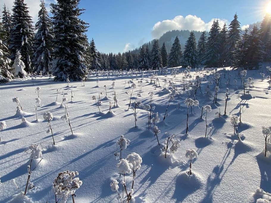 Dans Hameau, Pres Des Pistes Logement De Plein Pied Au Calme Taninges Exteriér fotografie