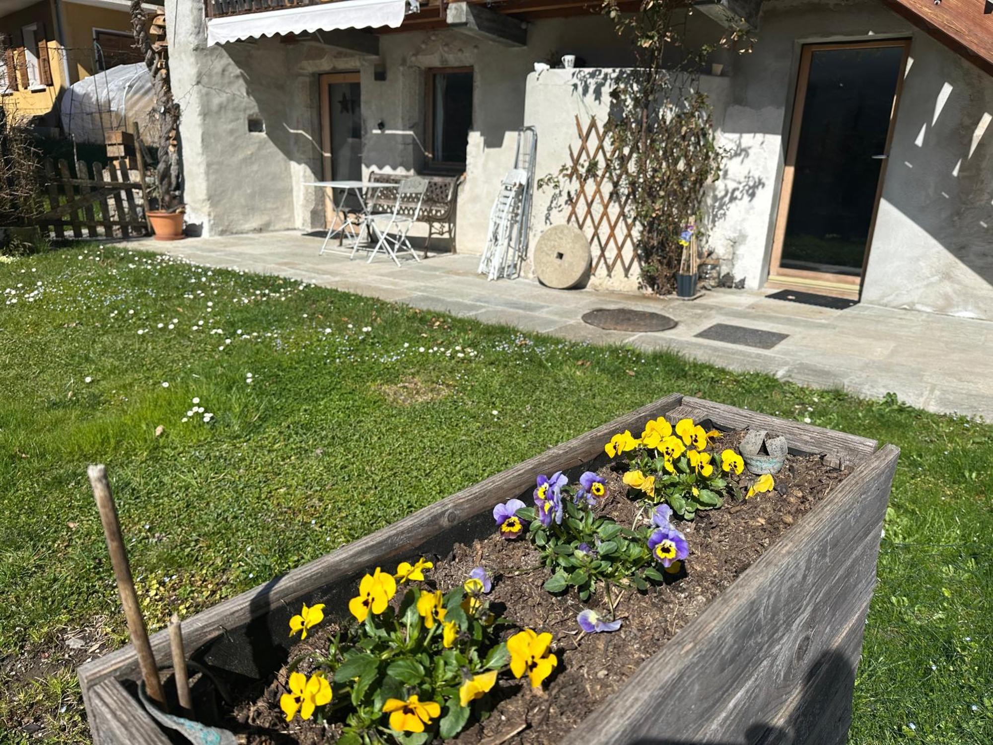 Dans Hameau, Pres Des Pistes Logement De Plein Pied Au Calme Taninges Exteriér fotografie